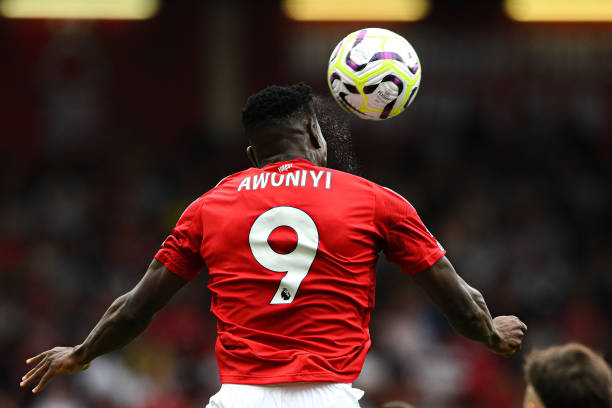 本菲卡的传 本菲卡的传