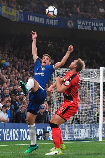 他在专业领 他在专业领