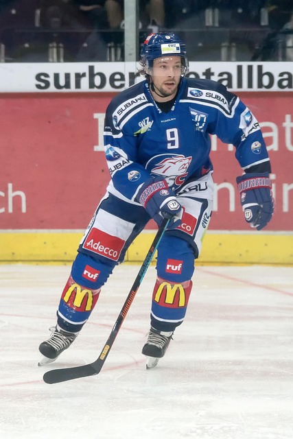 不仅体现了 不仅体现了