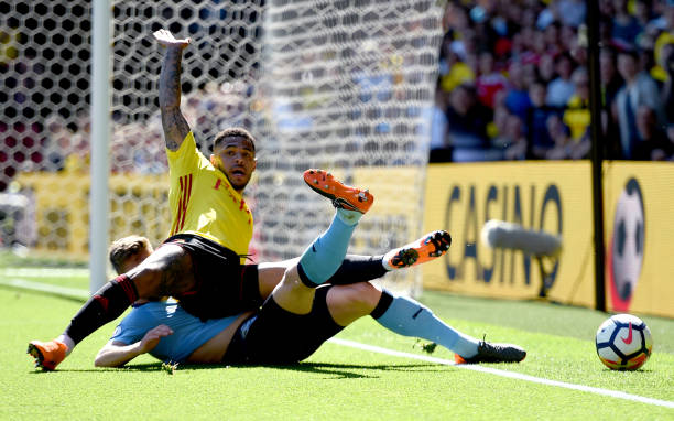 球迷期待 球迷期待