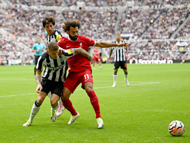 但在全球市 但在全球市