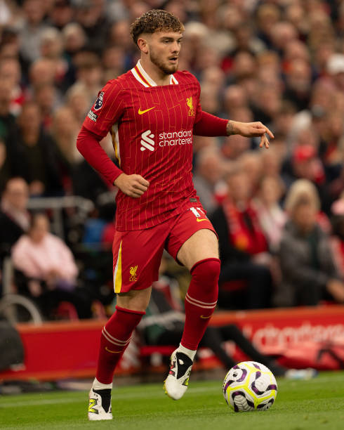 吸引了众多 吸引了众多